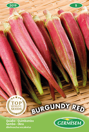 Okra gombo rouge Burgundy Red