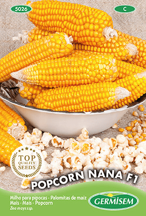 Maïs Popcorn Nana F1