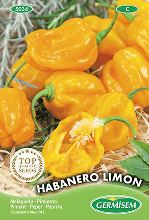 Piment Habanero Limon