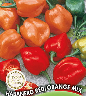 Piment Habanero Red/Orange Mix