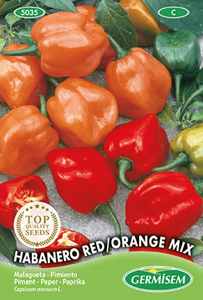 Piment Habanero Red/Orange Mix