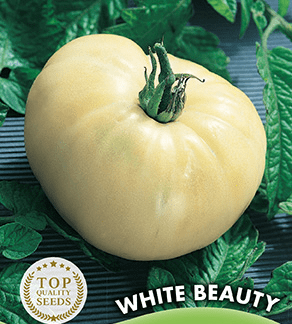 Tomate White Beauty