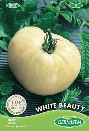 Tomate White Beauty