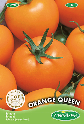 Tomate Orange Queen