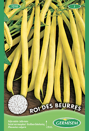 Haricot nain mangetout Roi des Beurres