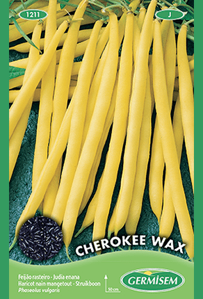 Haricot nain mangetout Cherokee Wax