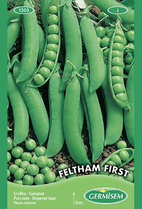 Pois nain Feltham First