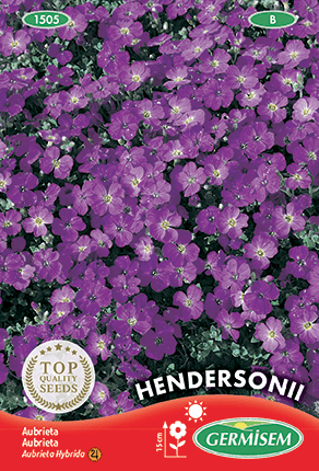 Aubrieta Hendersonii