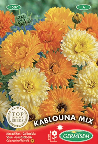 Souci varié (calendula) Kablouna Mix