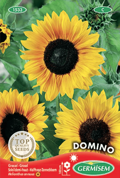 Tournesol (soleil) demi-haut Domino