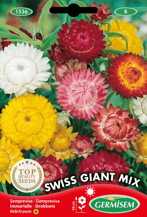 Immortelle Swiss Giant Mix