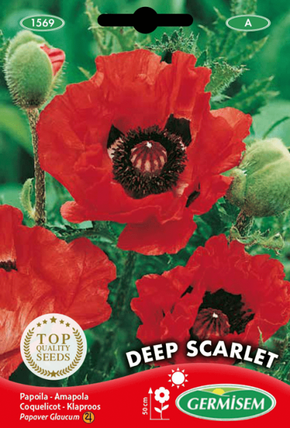 Coquelicot Deep Scarlet