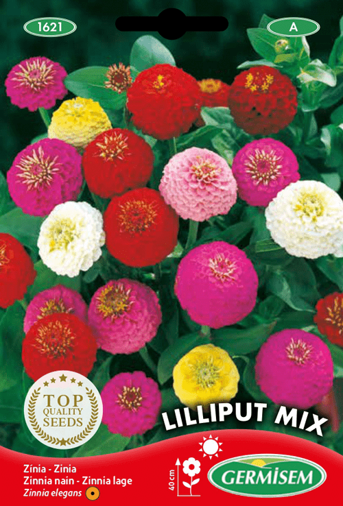 Zinnia nain Lilliput Mix