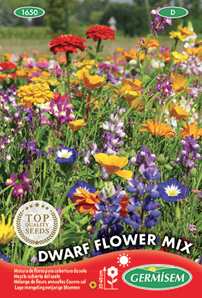 Mélange de fleurs annuelles Couvre-sol Dwarf Flower Mix
