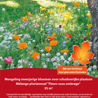 Mélange pluriannuel Fleurs Sous Ombrage 35 m²