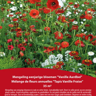 Mélange de fleurs annuelles Tapis Vanille Fraise 35 m²