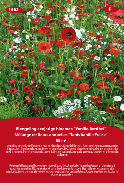 Mélange de fleurs annuelles Tapis Vanille Fraise 35 m²