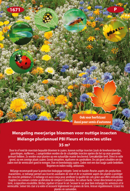 Mélange pluriannuel PBI Fleurs et Insectes Utiles 35 m²