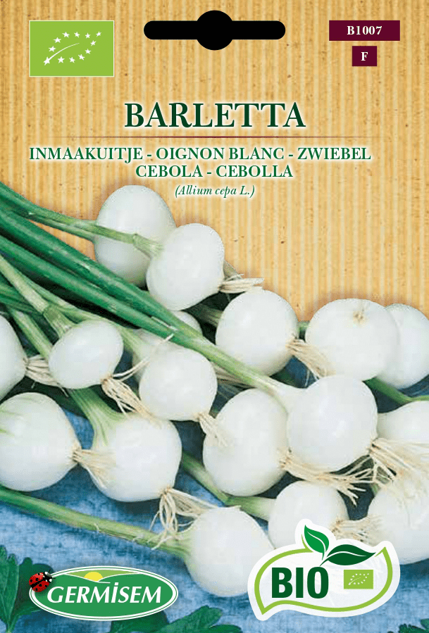 Oignon blanc Barletta