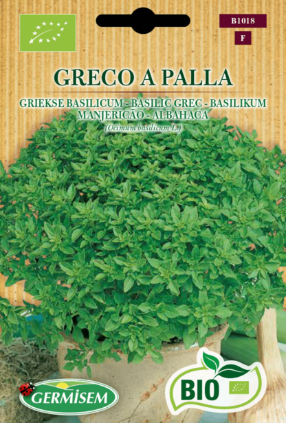 Basilic Grec