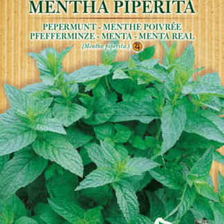 Menthe poivrée