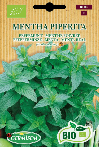 Menthe poivrée