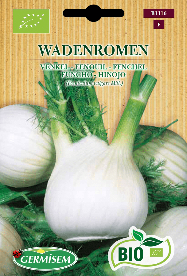 Fenouil Wadenromen