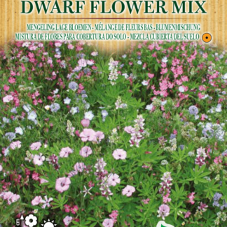 Mélange de fleurs bas Dwarf Flower Mix