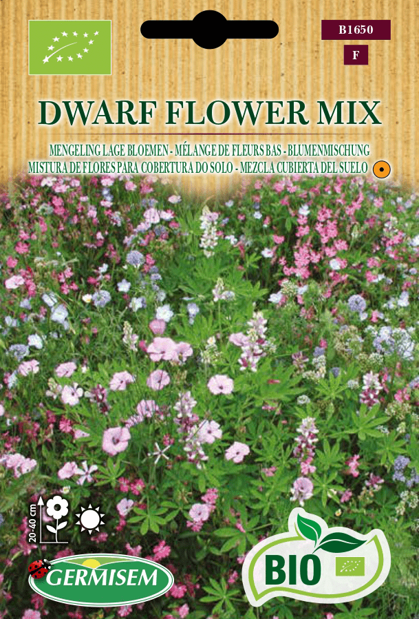 Mélange de fleurs bas Dwarf Flower Mix
