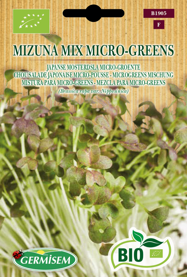 Mizuna (chou salade japonaise) en mélange micro-pousse