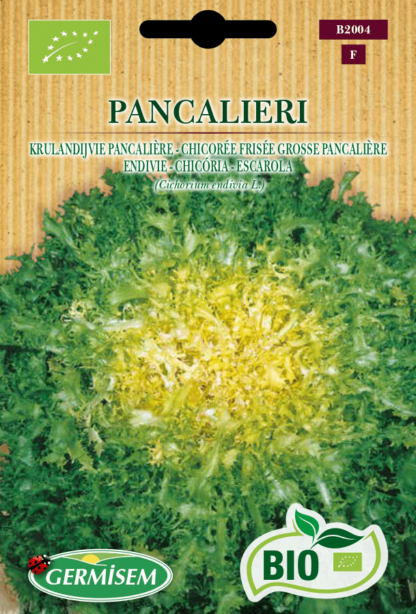 Chicorée frisée Grosse Pancalière