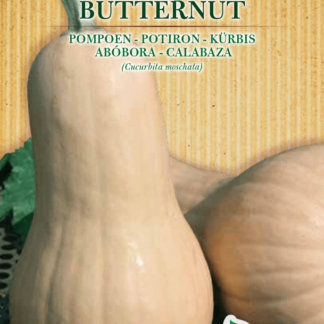 Potiron Butternut