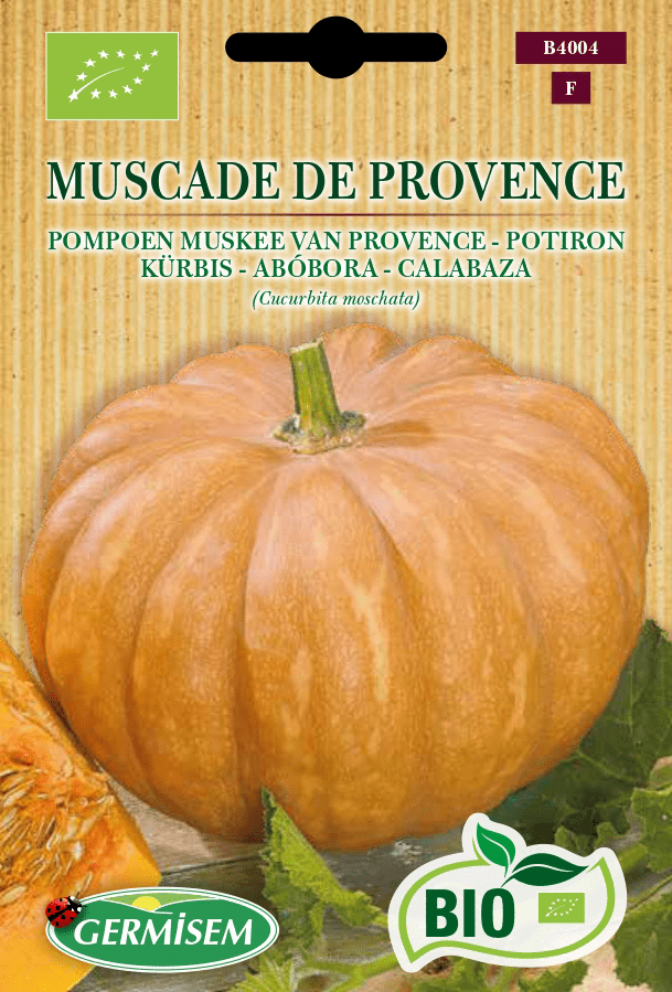 Potiron Muscade de Provence