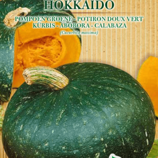 Potiron doux vert Hokkaido