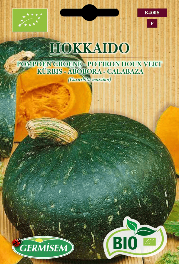 Potiron doux vert Hokkaido