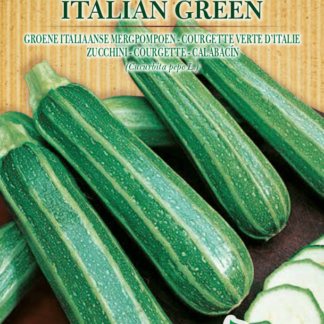 Courgette verte d'Italie