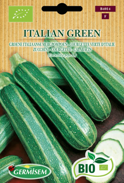 Courgette verte d'Italie