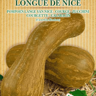 Courge Longue de Nice