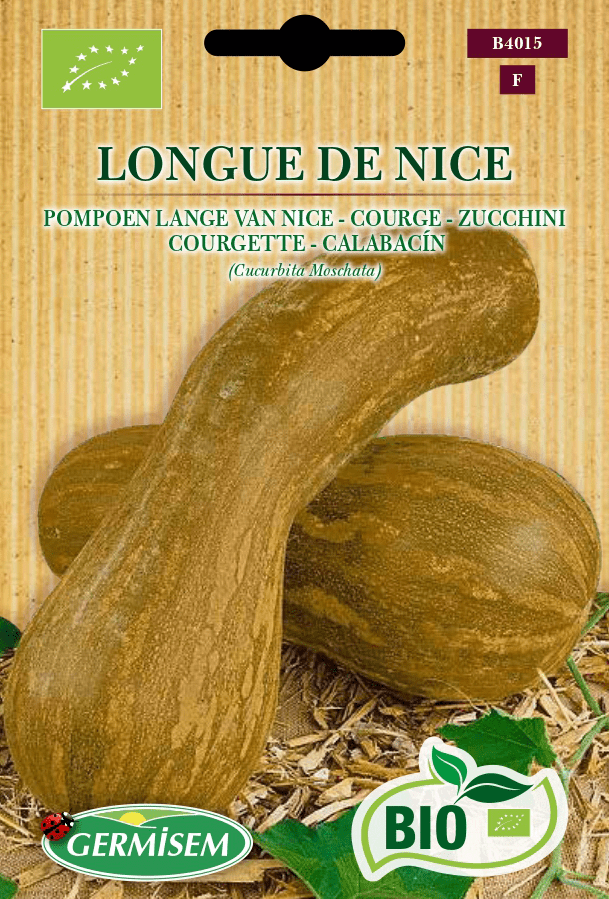 Courge Longue de Nice