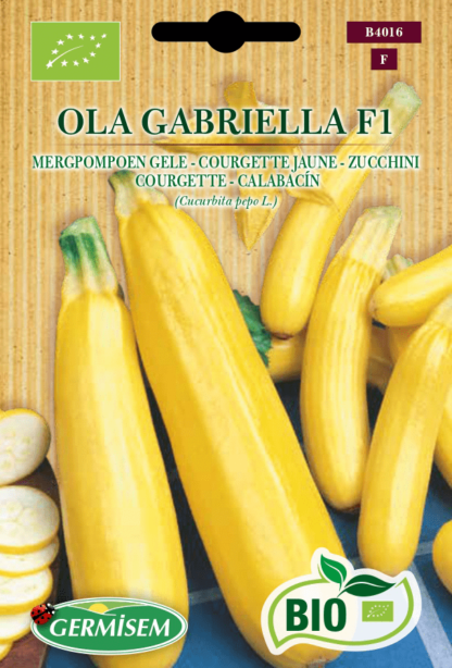 Courgette jaune Ola Gabriella F1