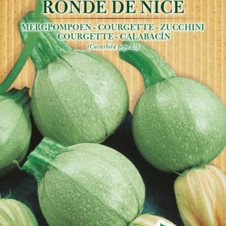 Courgette Ronde de Nice