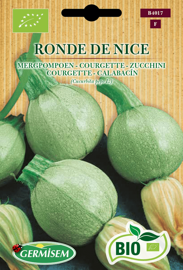 Courgette Ronde de Nice