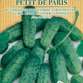 Cornichon vert Petit de Paris