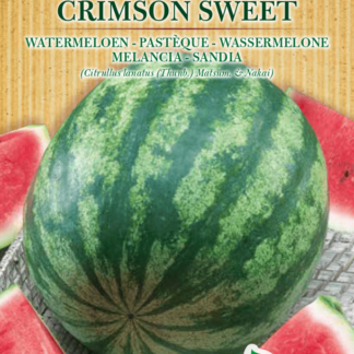 Melon d'eau (pastèque) Crimson Sweet