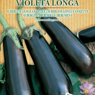 Aubergine longue Violette