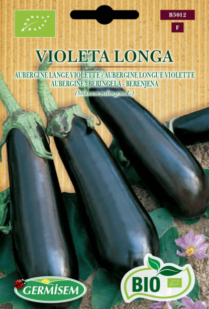 Aubergine longue Violette