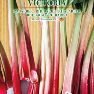 Rhubarbe Victoria