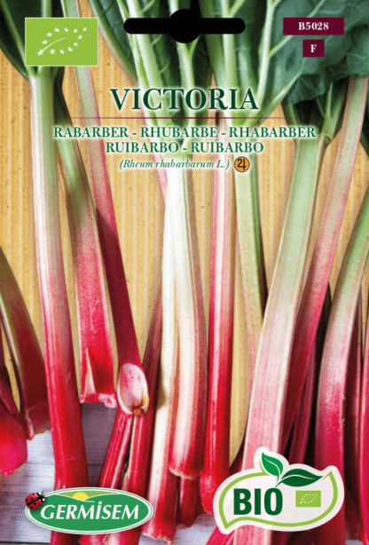 Rhubarbe Victoria