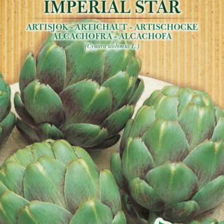 Artichaut Imperial Star