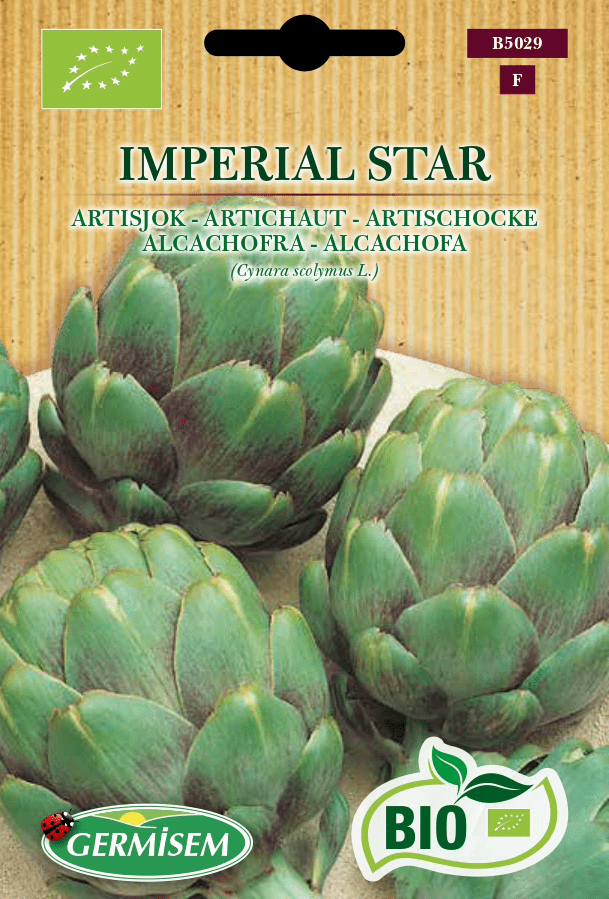 Artichaut Imperial Star